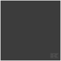 RAL 9005