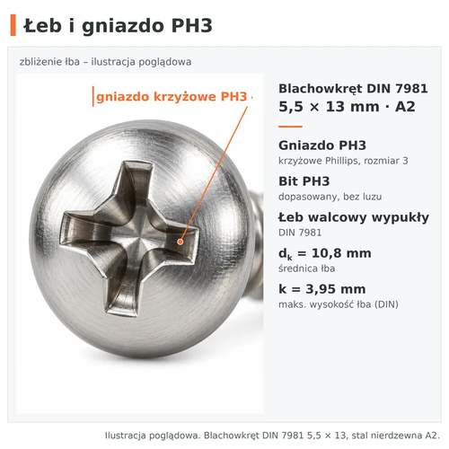 Łeb i gniazdo krzyżowe PH3 – blachowkręt DIN 7981 5,5 × 13, stal nierdzewna A2