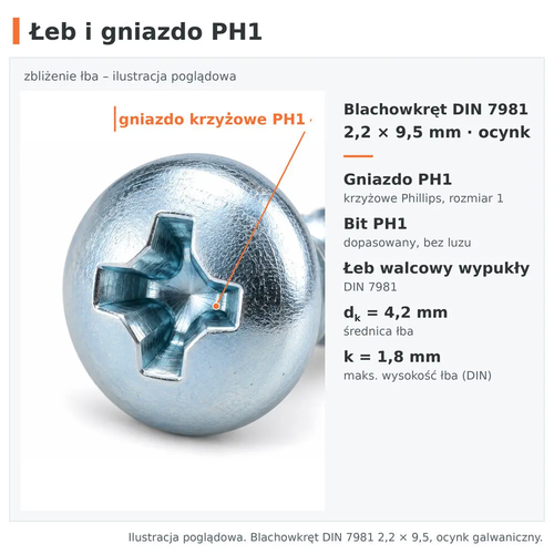 Łeb i gniazdo krzyżowe PH1 – blachowkręt DIN 7981 2,2 × 9,5, ocynk galwaniczny