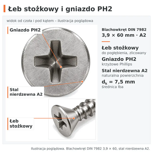 Łeb stożkowy i gniazdo krzyżowe PH2 – blachowkręt DIN 7982 3,9 × 60, stal nierdzewna A2