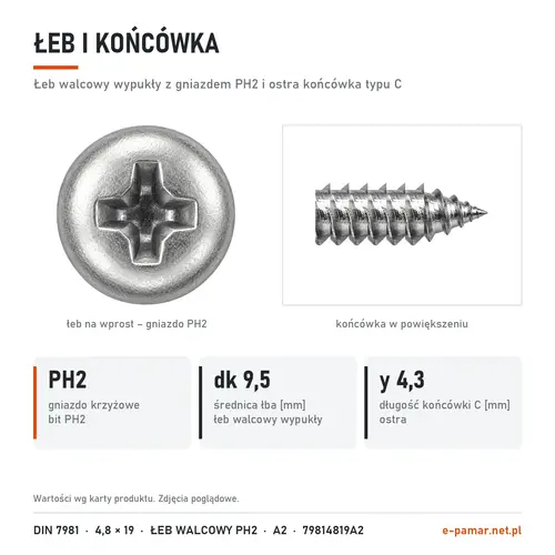 Łeb walcowy wypukły z gniazdem PH2 i końcówka typu C blachowkręta DIN 7981 4,8 × 19 w zbliżeniu
